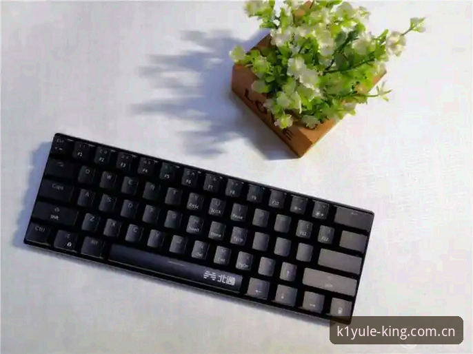 K1娱乐客服攻略最新动态：技术评测员深度解析极致娱乐APP安装与使用全流程